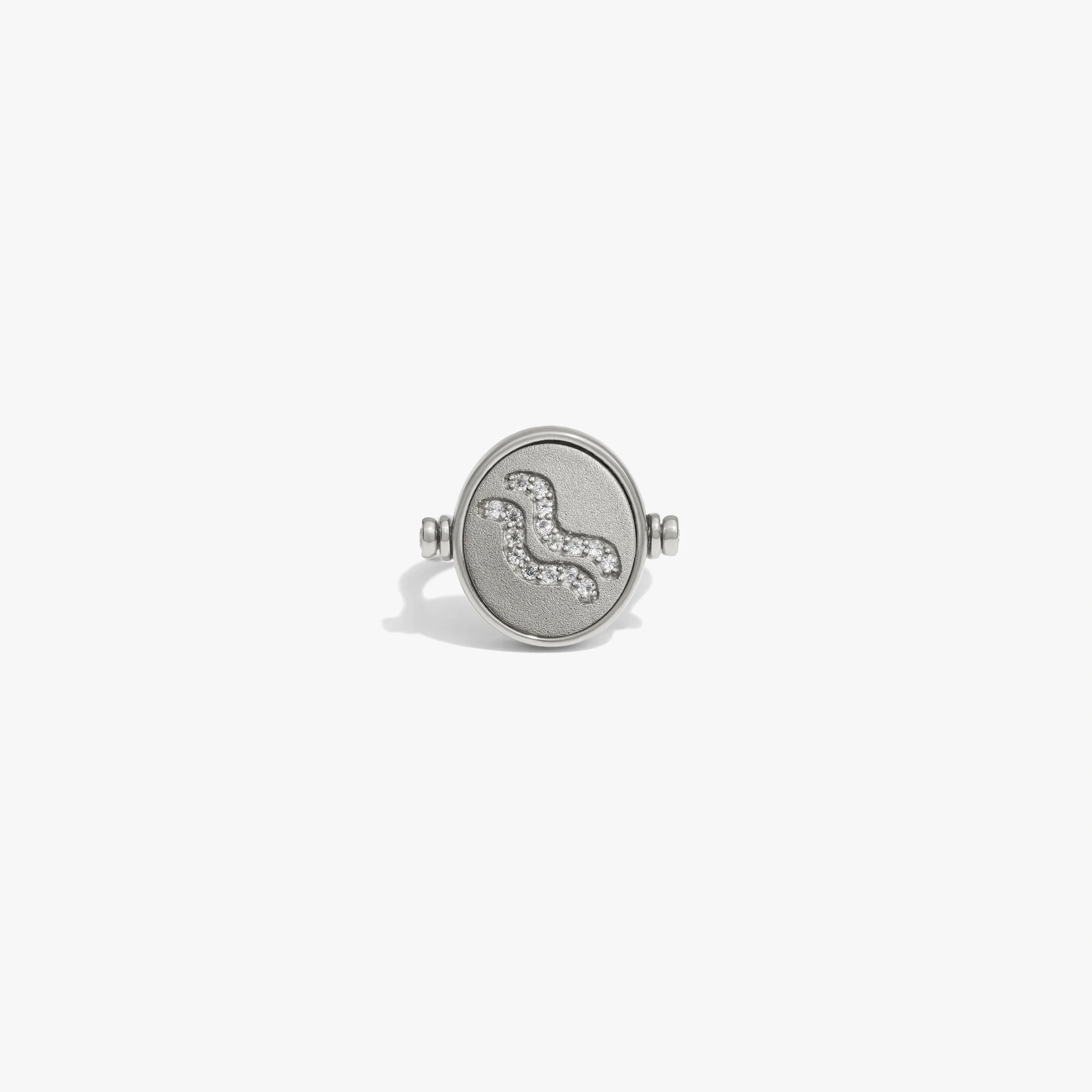 Aquarius & Air Flip Ring