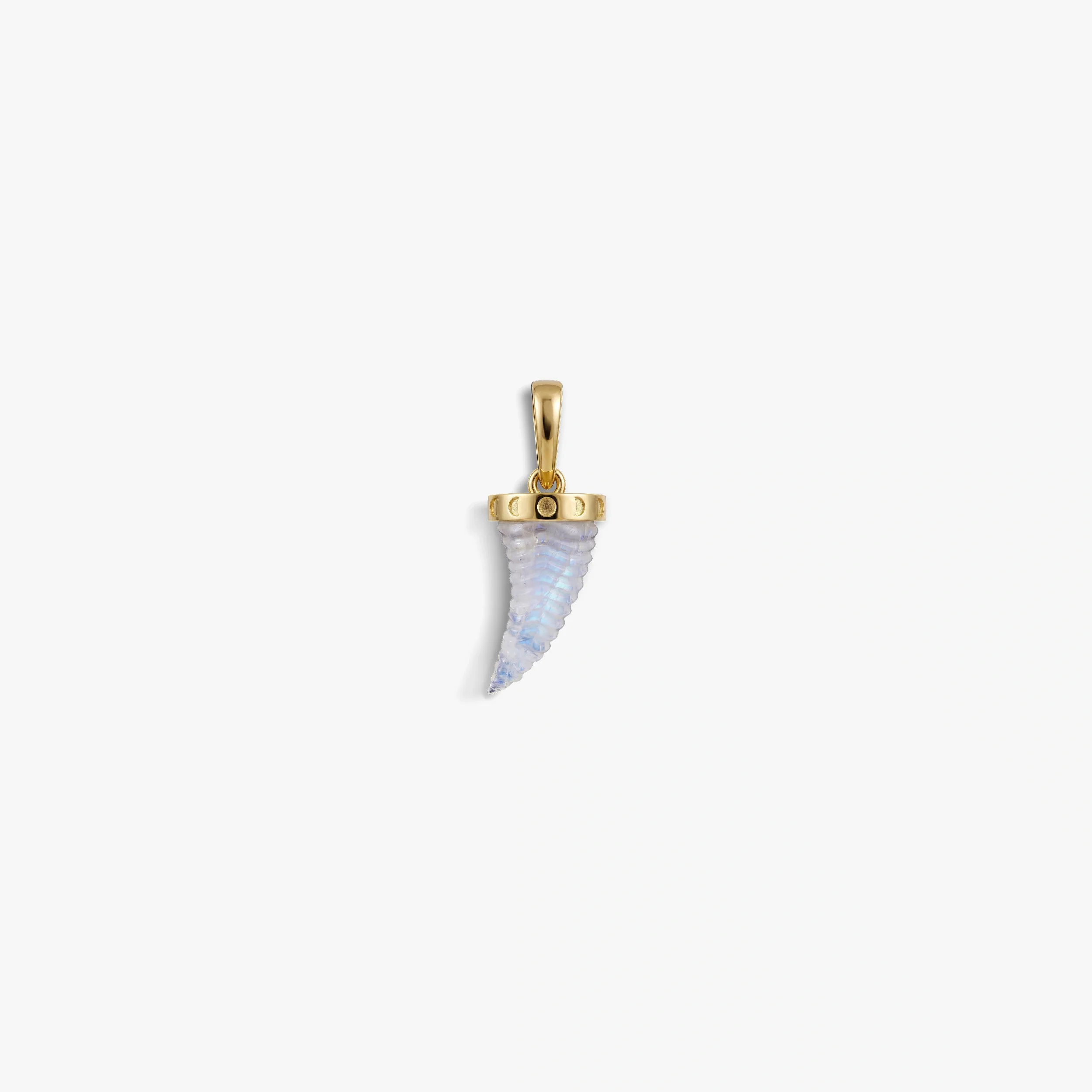 Carved Saber-Tooth Pendant