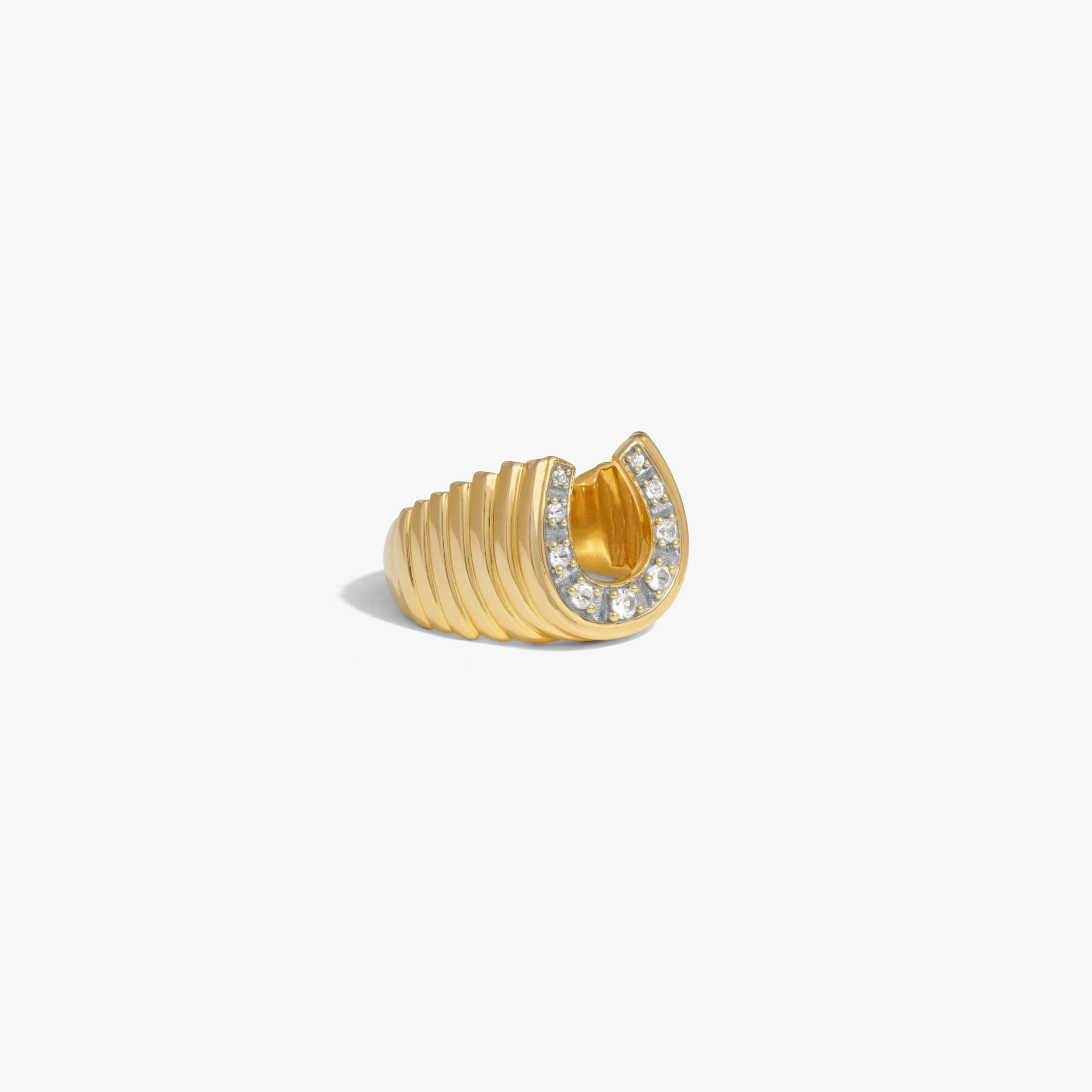 Lucky Horseshoe Signet Ring - Image 5