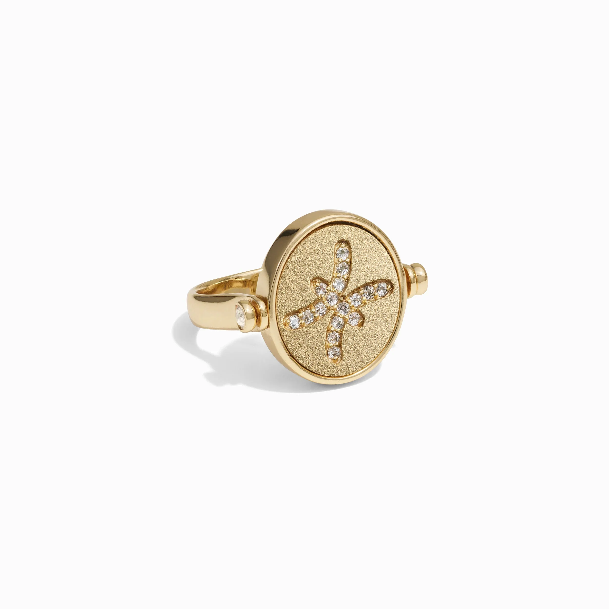 Pisces & Water Flip Ring - Image 5