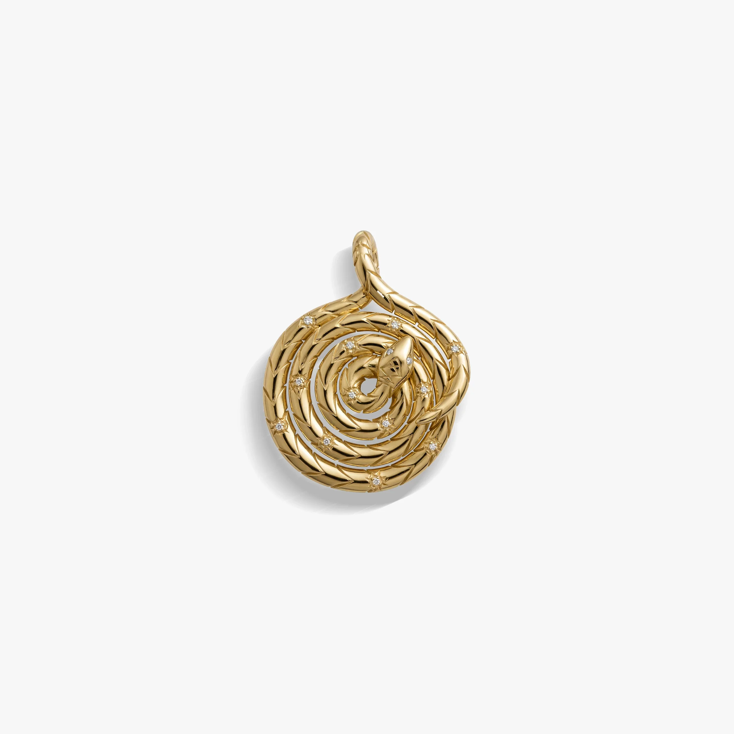 Sapphire Spiral Snake Coin - Image 4
