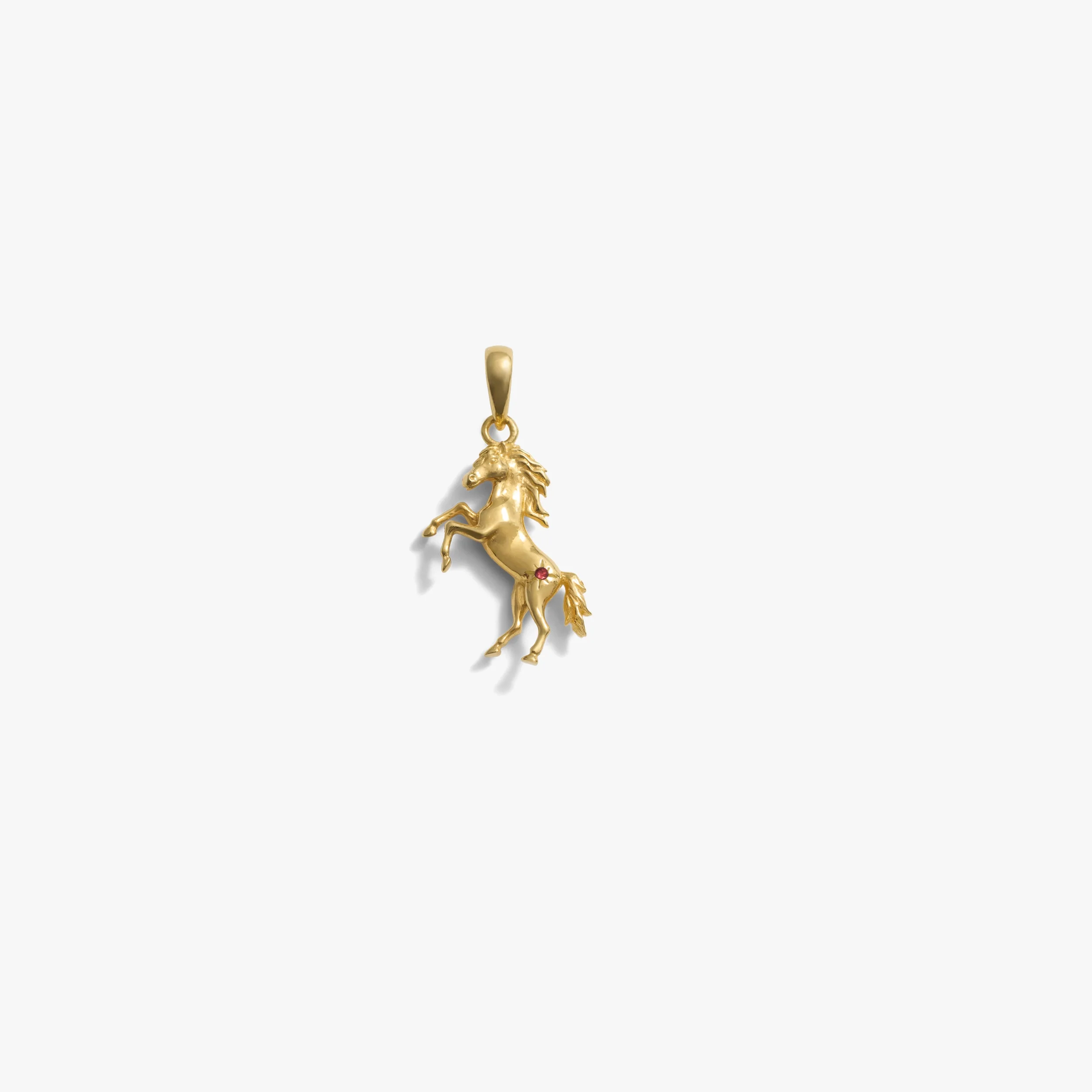 Stallion Amulet - Image 4