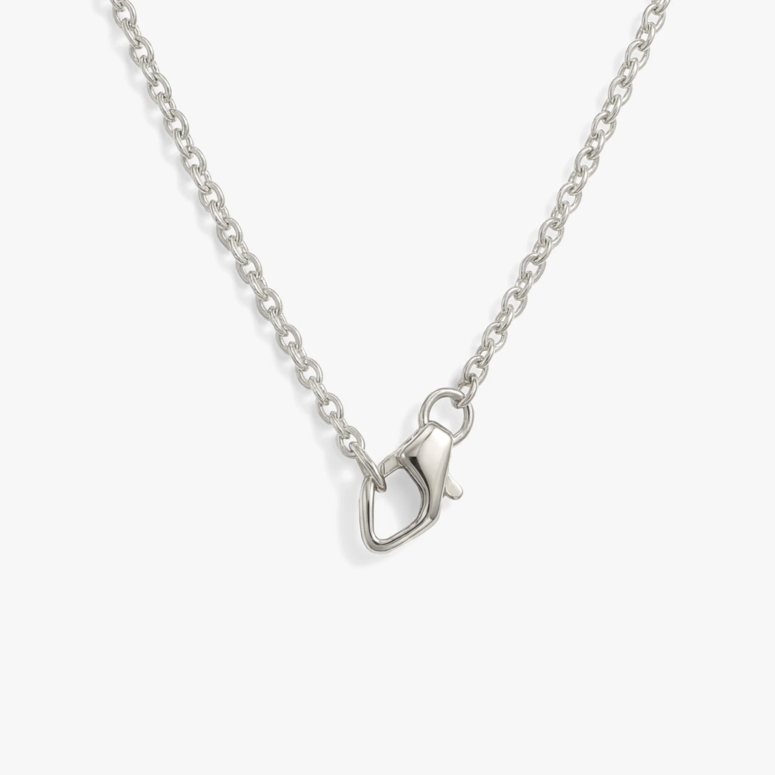 Collector Clasp Necklace - Image 3