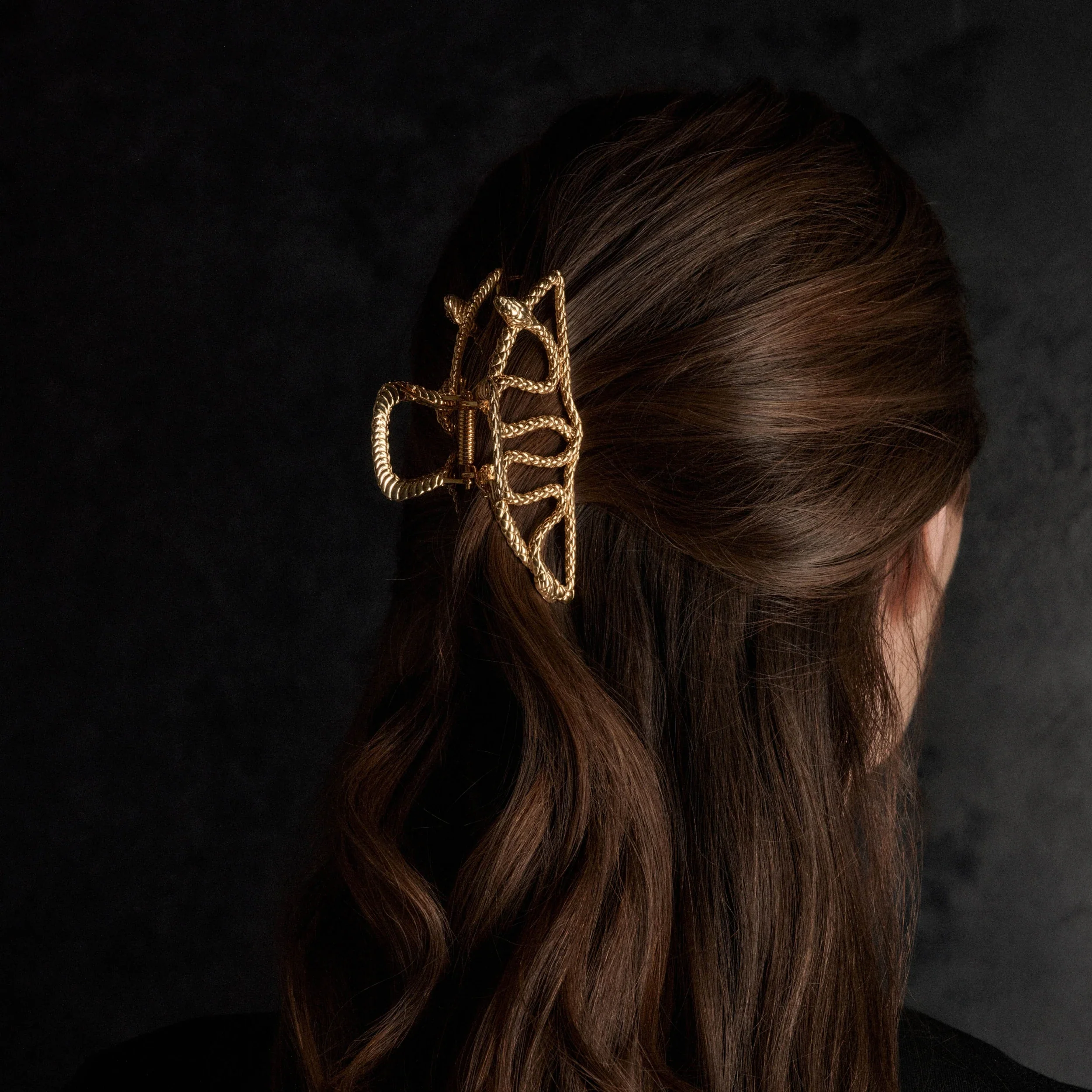 Twin Serpents Claw Clip - Image 2