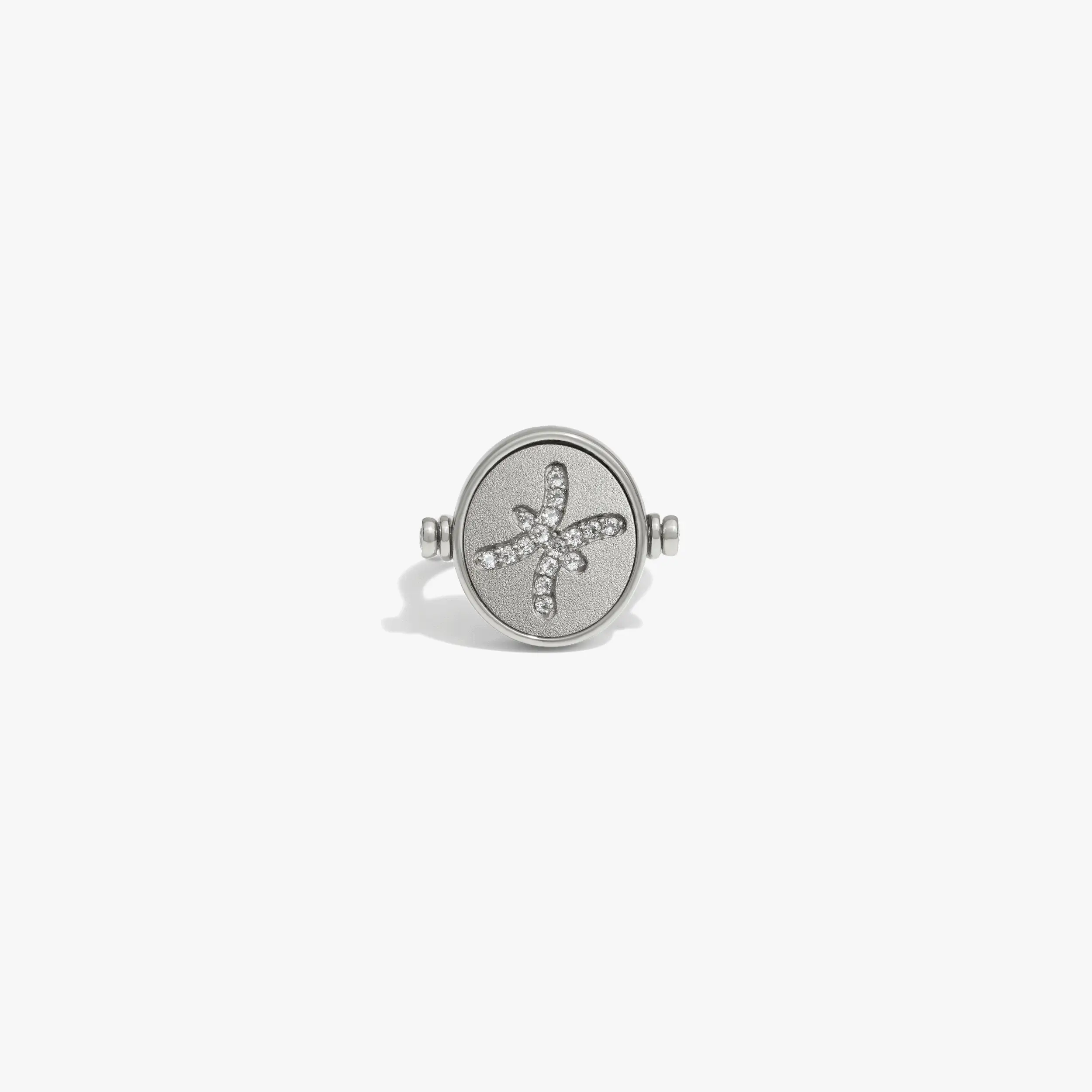 Zodiac Element Flip Ring - Image 17