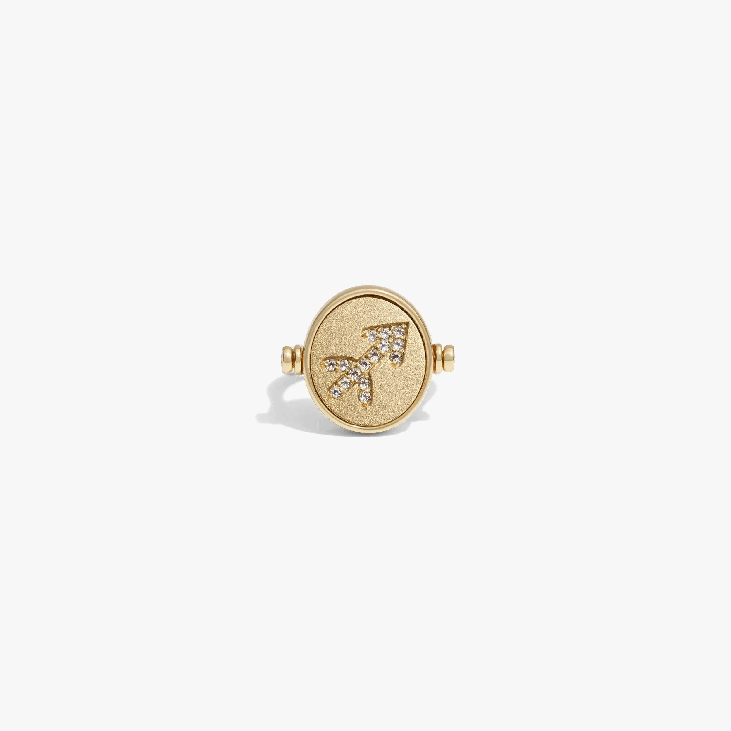 Zodiac Element Flip Ring - Image 18