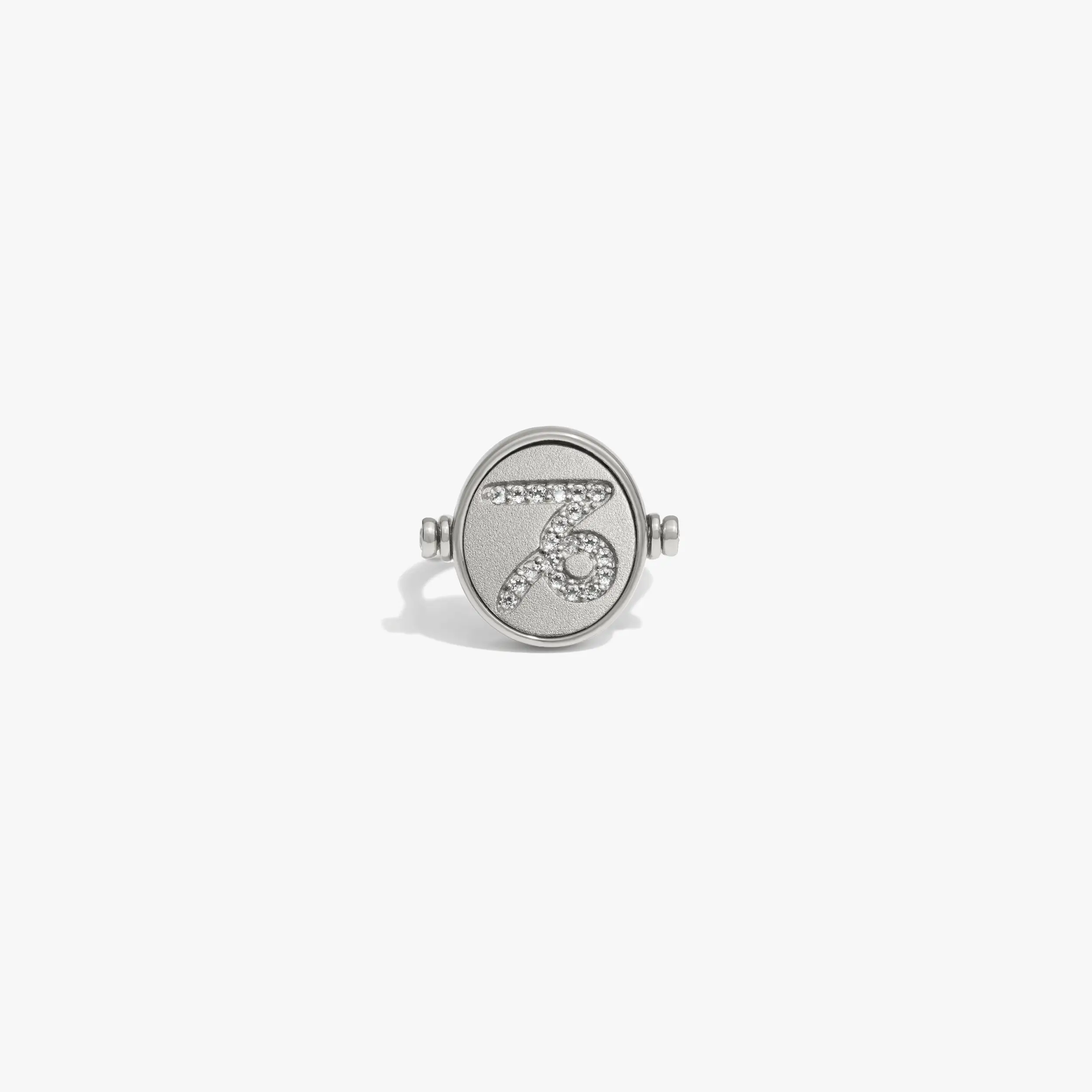Zodiac Element Flip Ring - Image 29